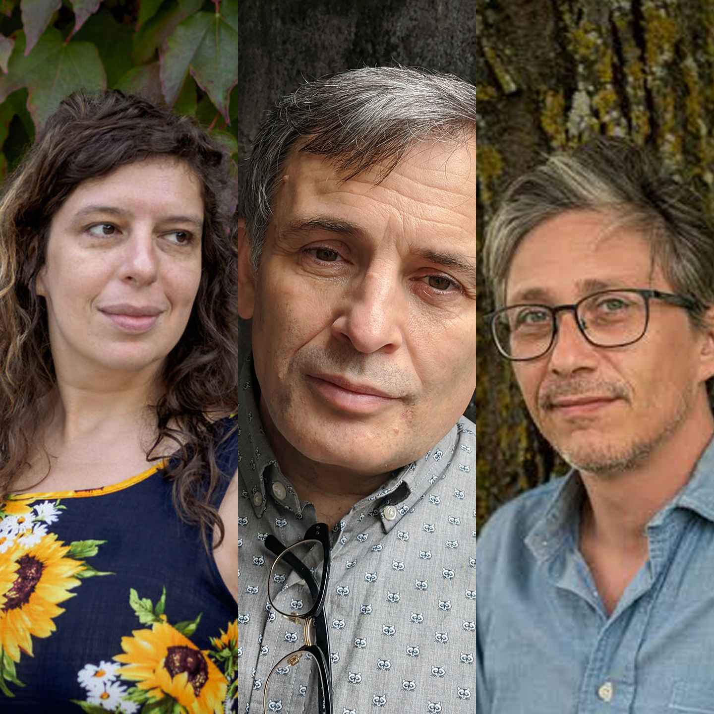 Polina Barskova, Ilya Bernshteyn & Matvei Yankelevich. "Don't Look There!"