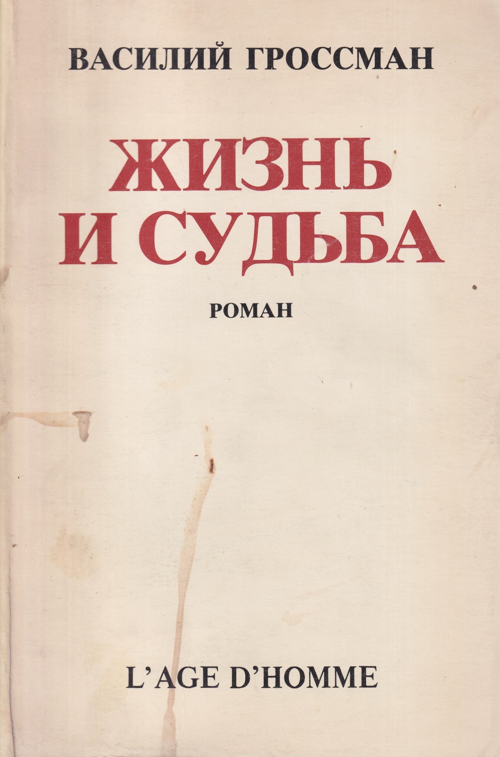 Zhizn i sudba. Roman Жизнь и судьба. Роман