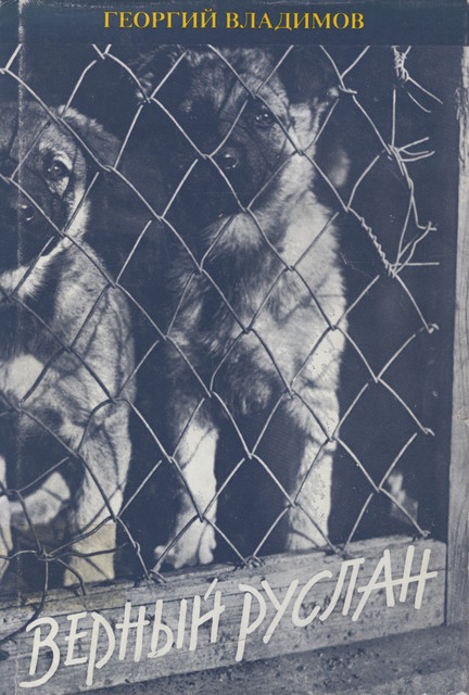 Vernyi Ruslan Верный Руслан