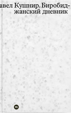 Birobidzhanskii dnevnik